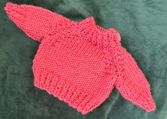 Large jelly cat coral jumper