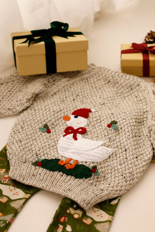 Christmas goose 2-4 years Aran cardigan