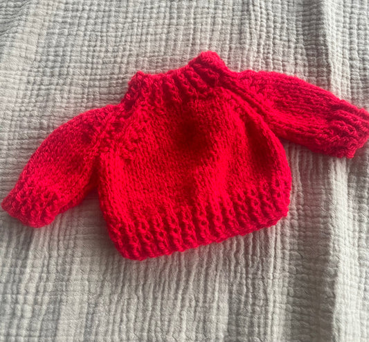 Medium jelly cat Christmas red jumper