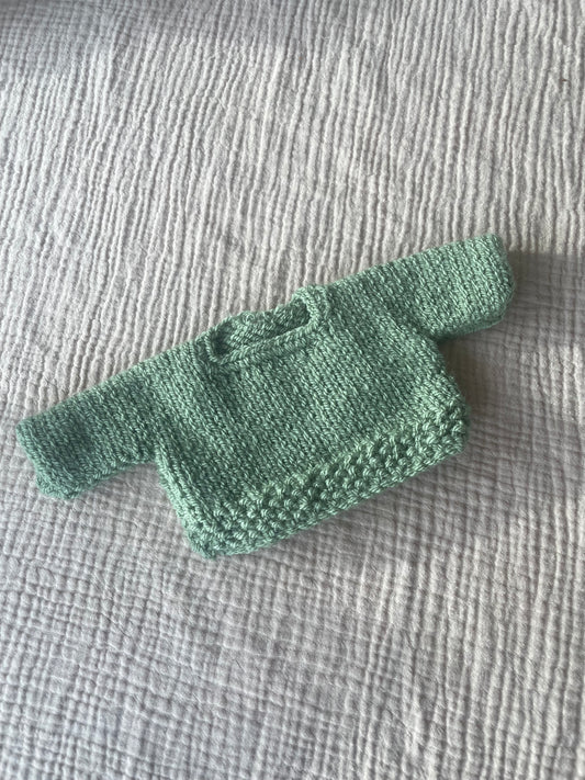 Medium jelly cat green jumper