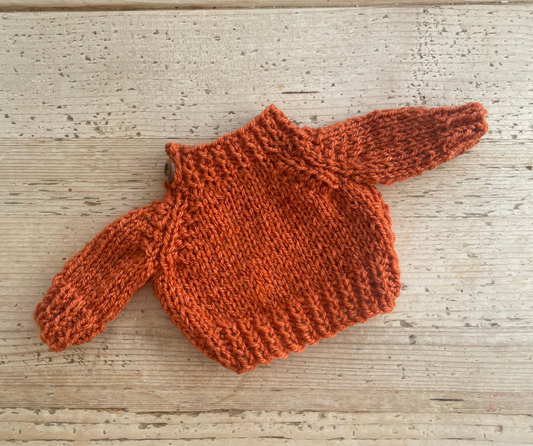 Medium jelly cat spice jumper