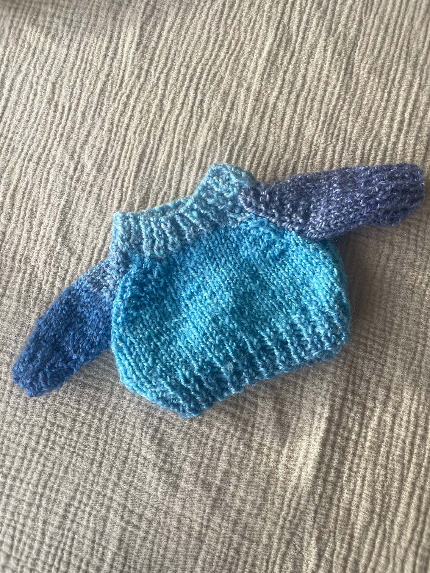 Medium jelly cat blue ombré jumper