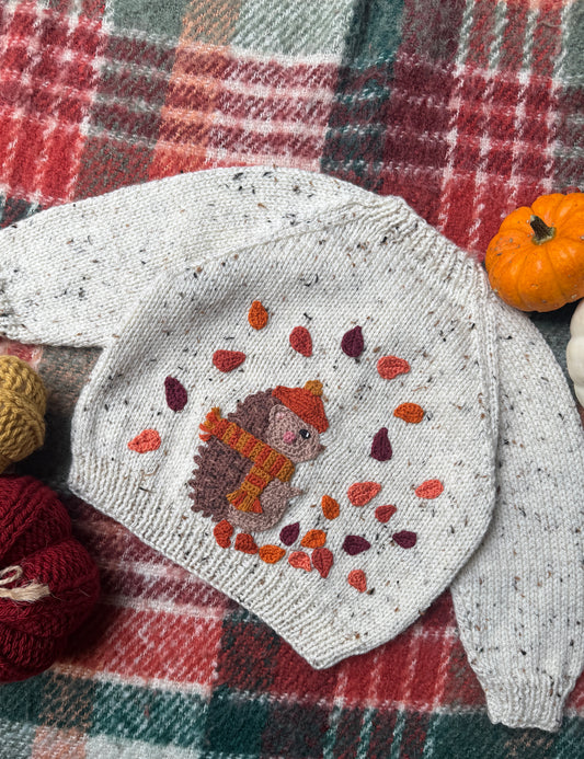 6-12m hedgehogs day out cardigan