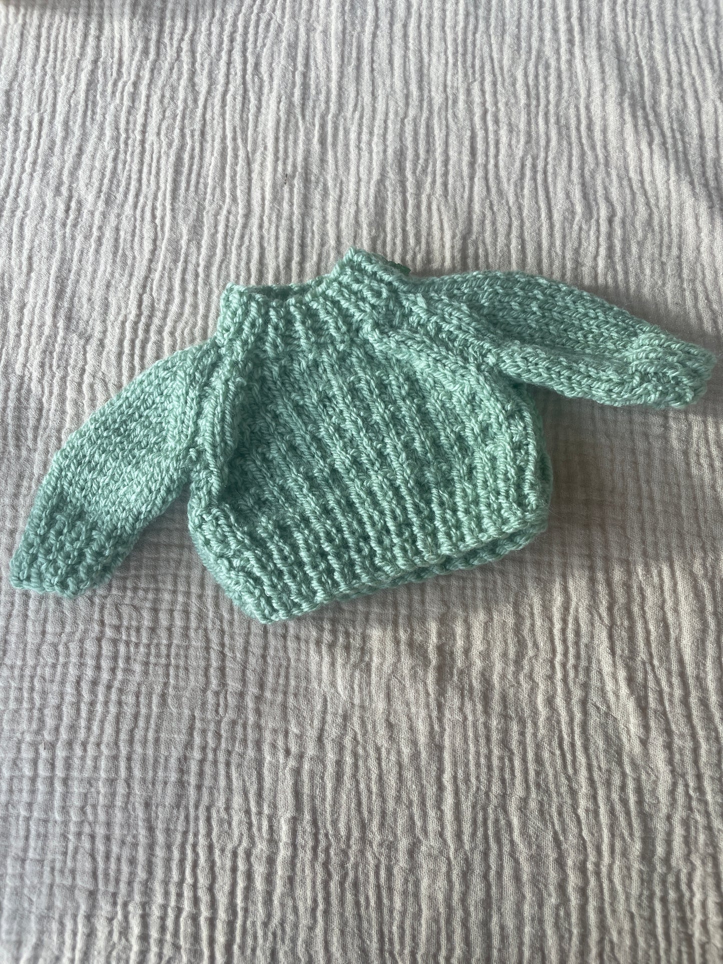 Medium jelly cat light green jumper