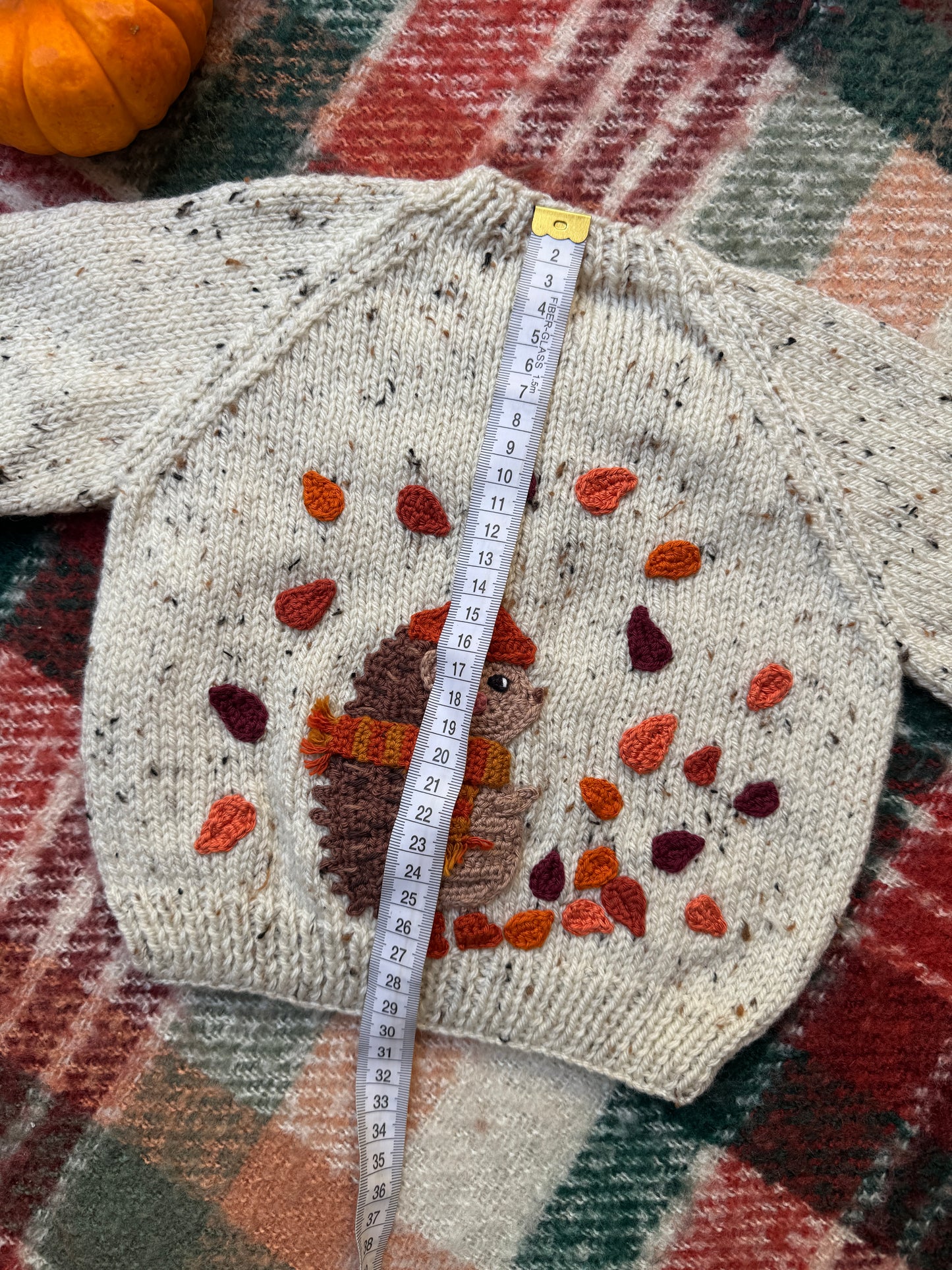 6-12m hedgehogs day out cardigan