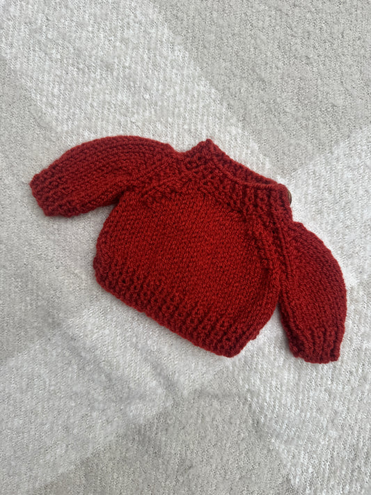 Medium rust jelly cat jumper