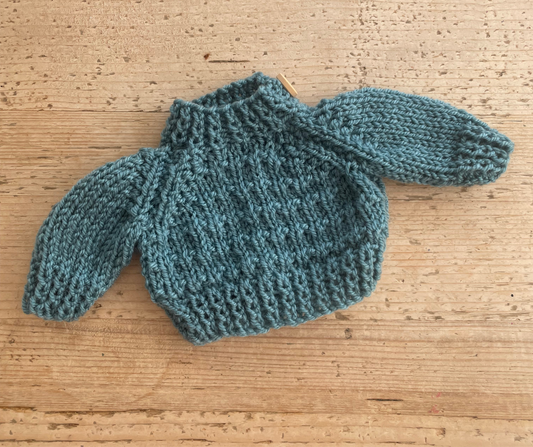 Medium jelly cat teal jumper