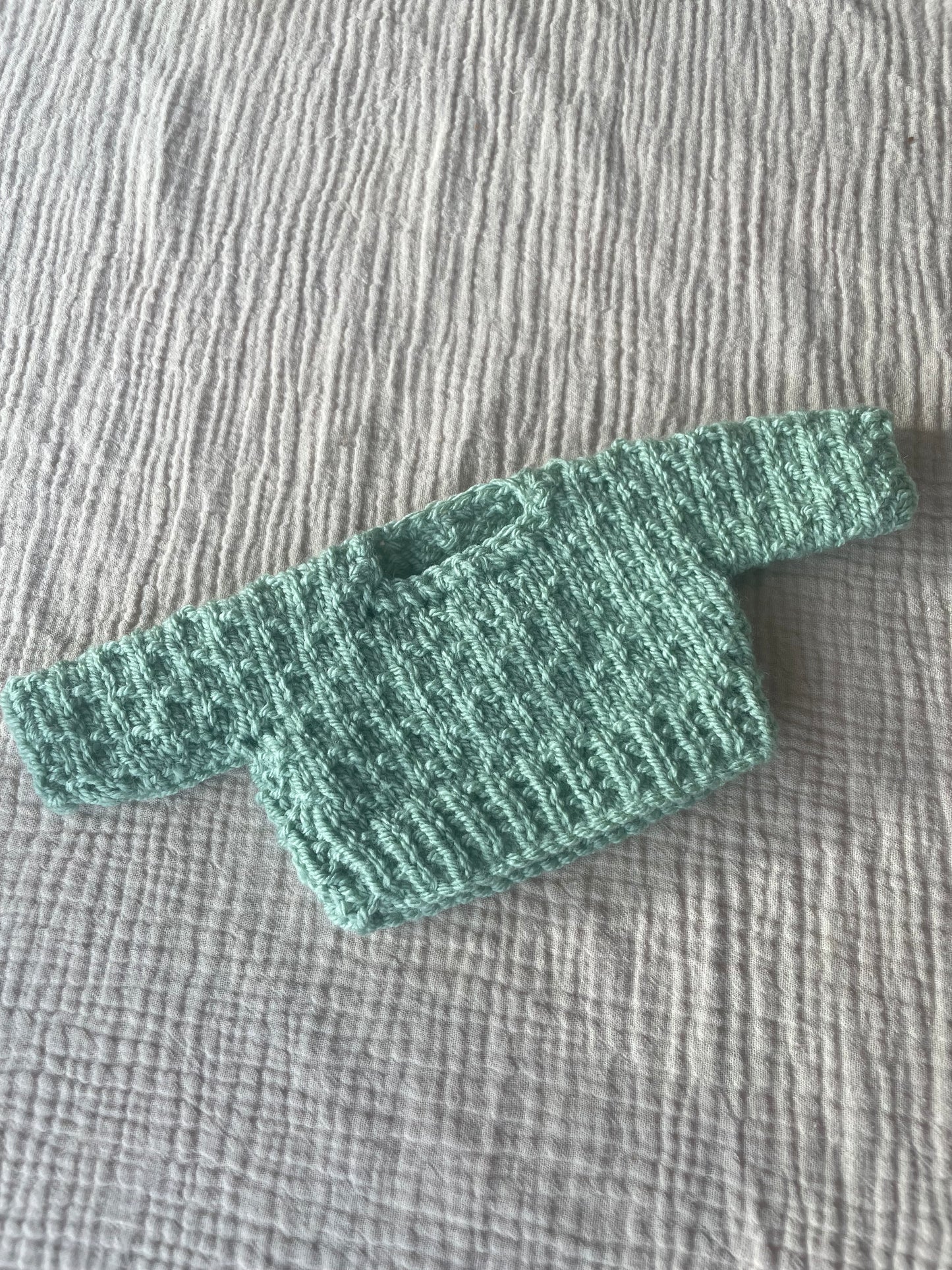 Medium jelly cat light green jumper