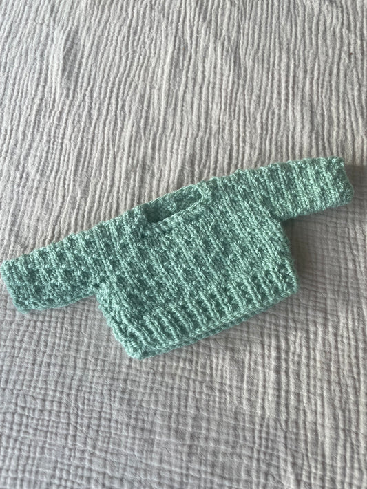 Medium jelly cat light green jumper