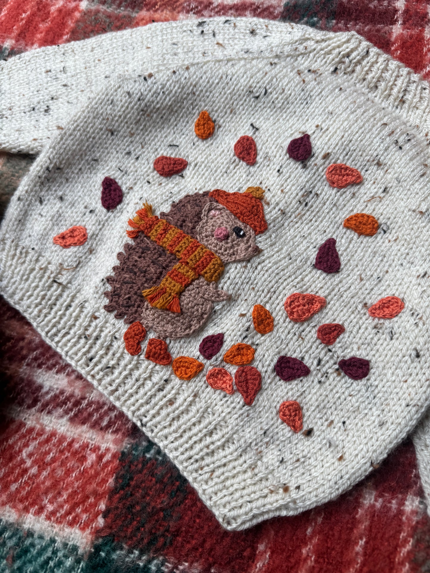 6-12m hedgehogs day out cardigan