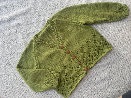 2-3 years meadow cardigan