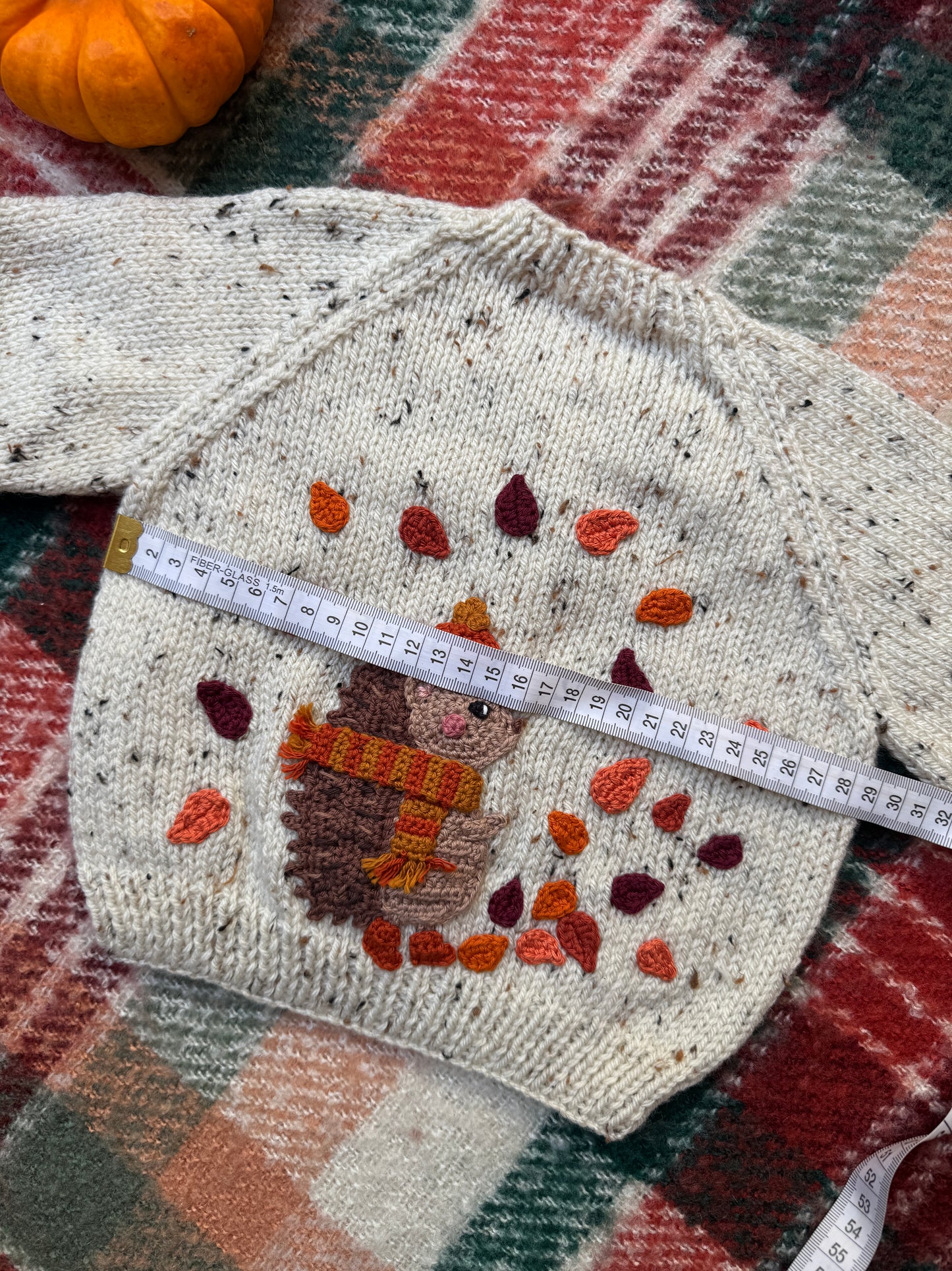 6-12m hedgehogs day out cardigan