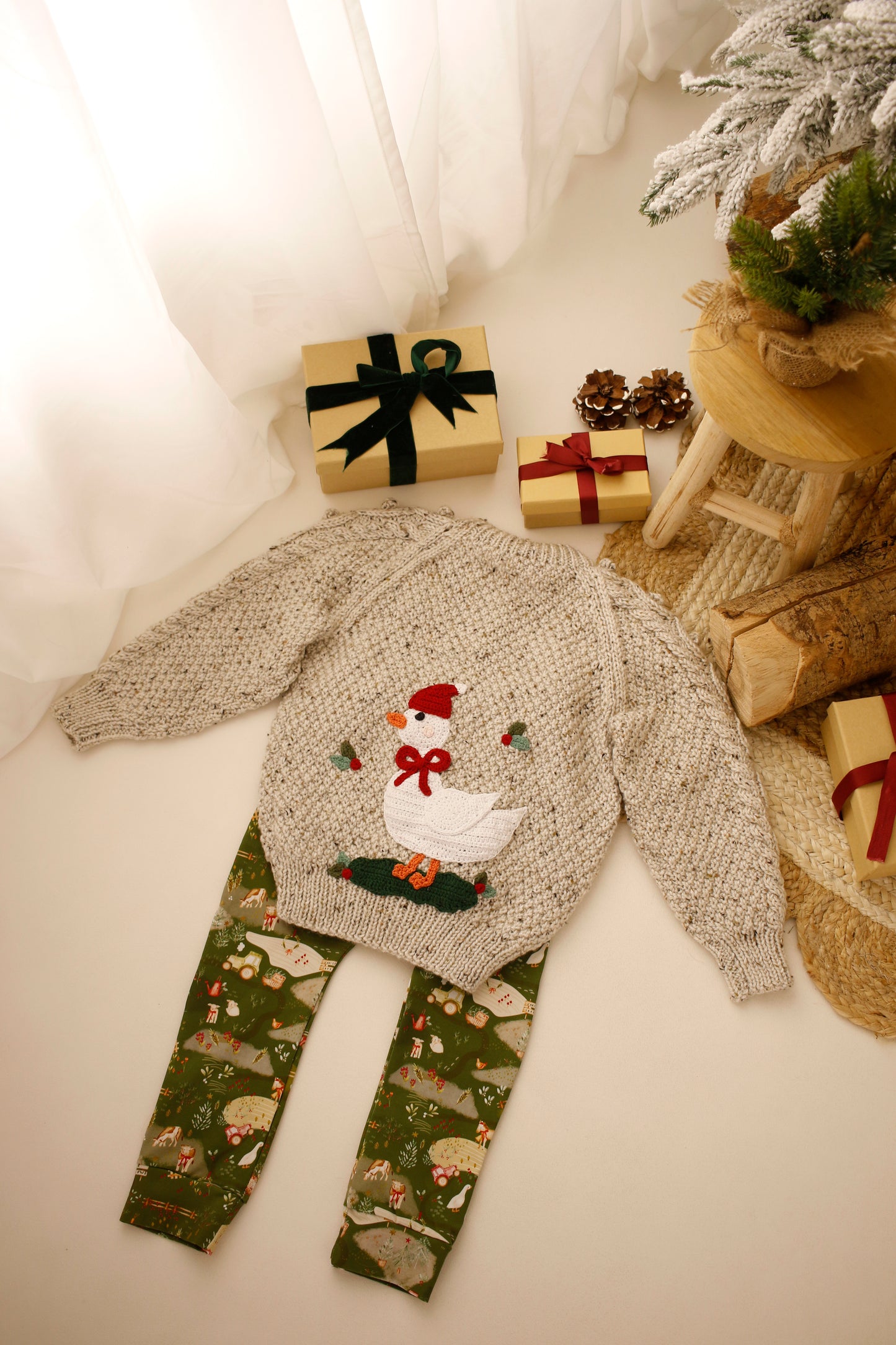Christmas goose 2-4 years Aran cardigan
